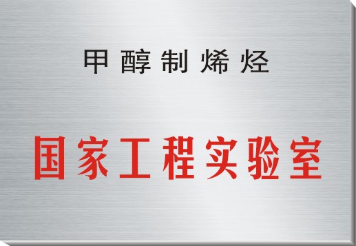 甲醇制烯烴國(guó)家工程實(shí)驗(yàn)室.jpg